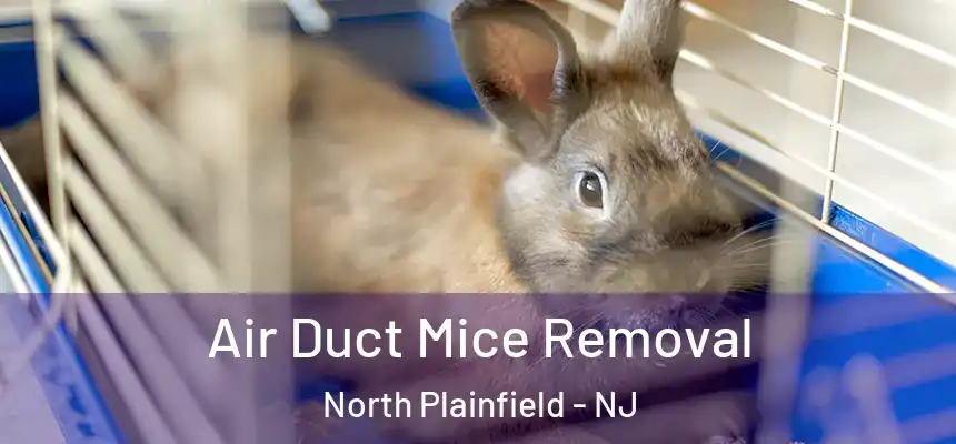  Air Duct Mice Removal North Plainfield - NJ