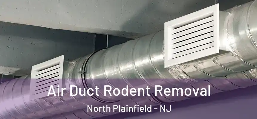 Air Duct Rodent Removal North Plainfield - NJ