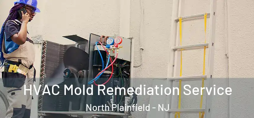 HVAC Mold Remediation Service North Plainfield - NJ