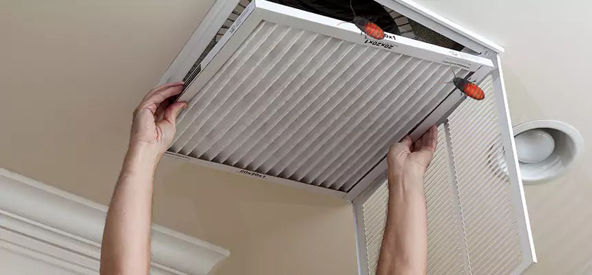 Preventive Cockroach-Proofing for Ducts in North Plainfield