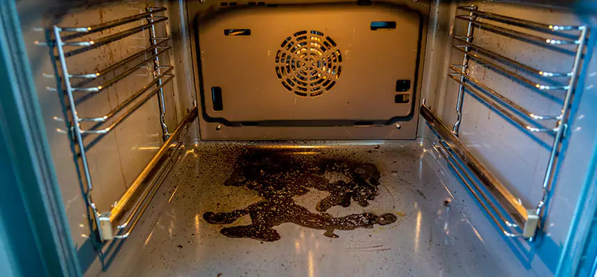 Our Dryer Vent Mold Cleaning Services in North Plainfield, NJ