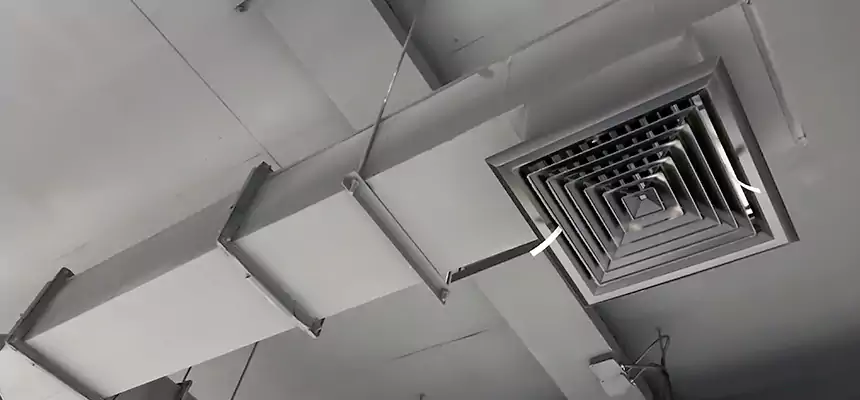 Our Rodent Droppings In Vents Services in North Plainfield, NJ