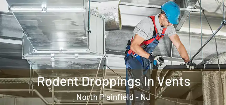 Rodent Droppings In Vents North Plainfield - NJ