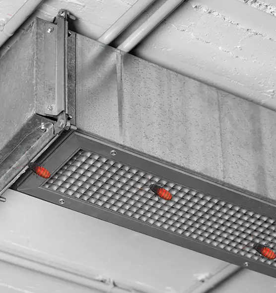About Air Duct Cockroach Removal in North Plainfield, NJ