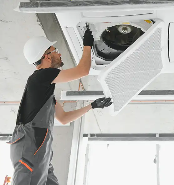 About Air Duct Rodent Removal in North Plainfield, NJ