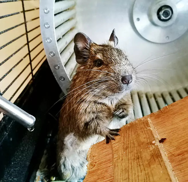 Why Homeowners & Businesses Trust Us North Plainfield, NJ