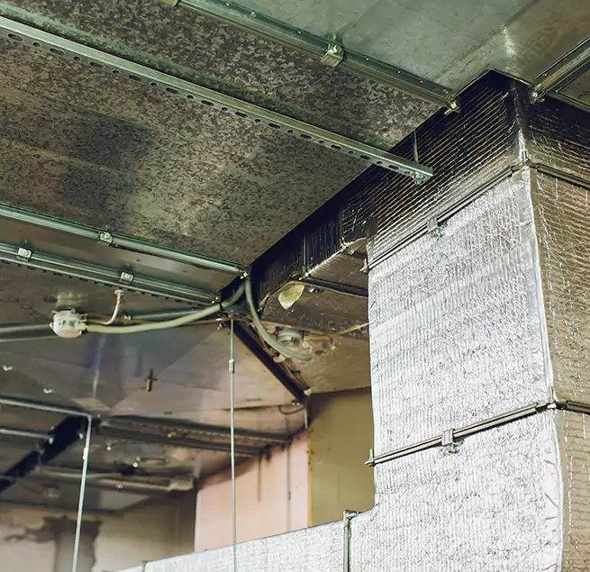 Why Homeowners & Businesses Trust Us in North Plainfield, NJ?